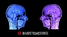 + Investigadores (2008) - Stream Online