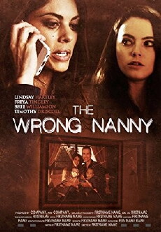 The Wrong Nanny (2017) - Stream Online