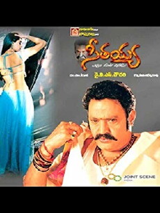 Seetayya (2003) - Stream Online