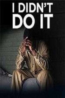 I Didn't Do It (2012) - Stream Online
