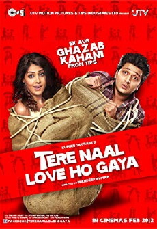 Tere Naal Love Ho Gaya (2012) - Stream Online