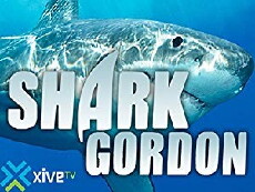 Shark Gordon (2000) - Stream Online