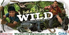 Born to Be Wild (2007) - Stream Online