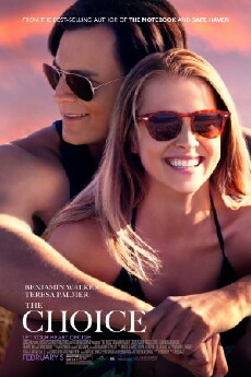 The Choice (2016) - Stream Online