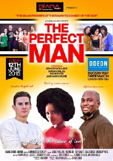 The Perfect Man (2015) - Stream Online