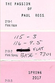The Passion of Paul Ross (2017) - Stream Online