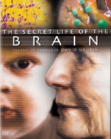 The Secret Life of the Brain (2002) - Stream Online