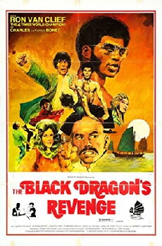 The Black Dragon Revenges the Death of Bruce Lee (1975) - Stream Online