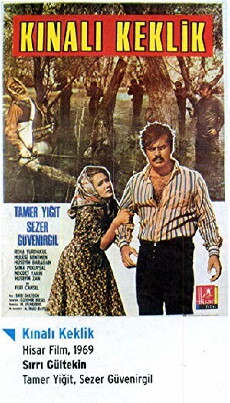 Kinali keklik (1969) - Stream Online