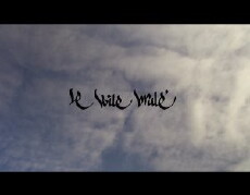 Le voile brûlé (2013) - Stream Online