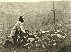 G.W. 313 (1913) - Stream Online