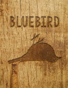Bluebird (2017) - Stream Online