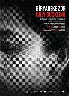 Ugly Duckling (2017) - Stream Online