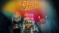 Dead Dog Returns (2017) - Stream Online