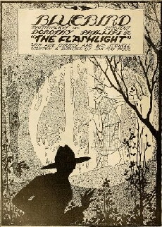 The Flashlight (1917) - Stream Online