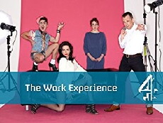 The Work Experience (2012) - Stream Online