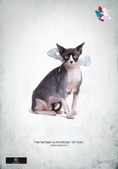 Lovemakers (2011) - Stream Online