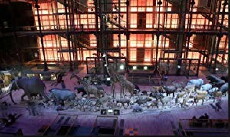 Sciences (2010) - Stream Online