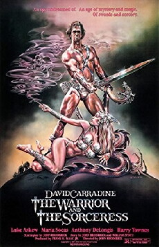 The Warrior (1984) - Stream Online