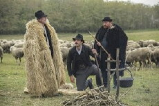 A fekete bojtár (2015) - Stream Online
