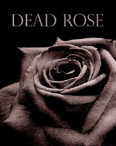 Dead Rose (2004) - Stream Online