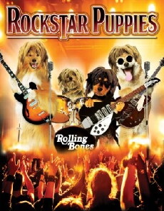 Rock Star Puppies (2016) - Stream Online