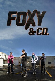 Foxy & Co. (2014) - Stream Online