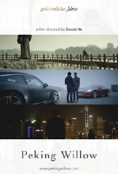 Peking Willow (2013) - Stream Online