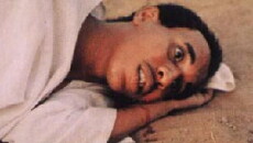 The Sheikh's Blessing (1998) - Stream Online
