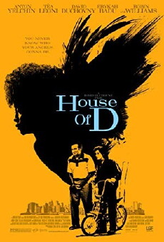 House of D (2004) - Stream Online