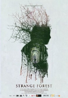 Strange Forest (2014) - Stream Online