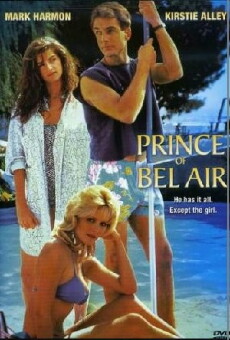 Prince of Bel Air (1986) - Stream Online