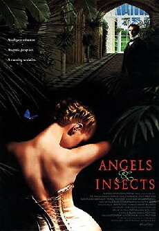 Angels and Insects (1995) - Stream Online