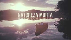 Natureza Morta (2018) - Stream Online