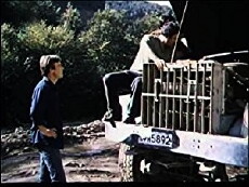 Der Damm (1984) - Stream Online