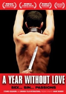 A Year Without Love (2005) - Stream Online