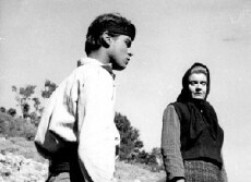 Crazy Blood (1963) - Stream Online