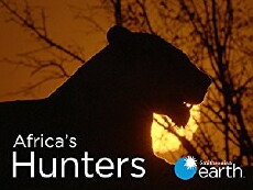 Africa's Hunters (2017) - Stream Online