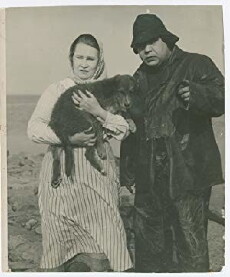 På kryss med Blixten (1927) - Stream Online