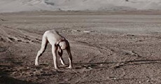 Lek and the Dogs (2017) - Stream Online
