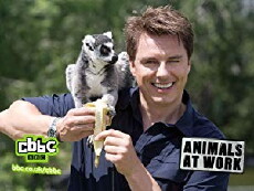 Animals at Work (2008) - Stream Online