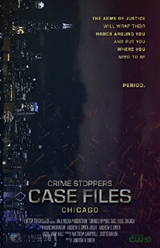 Crime Stoppers Case Files: Chicago (2012) - Stream Online