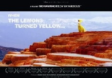 When the Lemons Turned Yellow (2009) - Stream Online