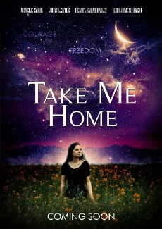 Take Me Home (2016) - Stream Online