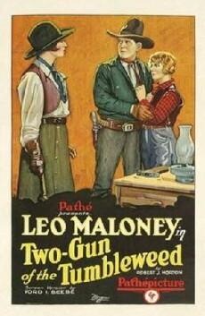 Two-Gun of the Tumbleweed (1927) - Stream Online