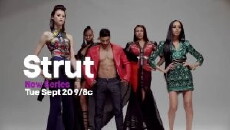 Strut (2016) - Stream Online