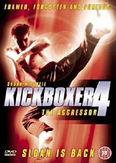 Kickboxer 4: The Aggressor (1994) - Stream Online