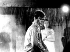 El bruto (1962) - Stream Online