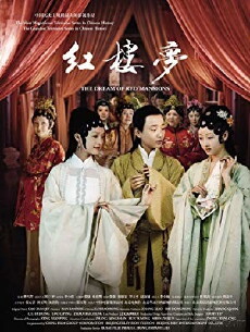 A Dream in Red Mansions (2010) - Stream Online