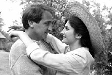 Sentimentalna prica (1988) - Stream Online